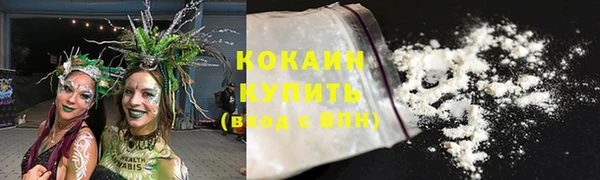 прущие грибы Кукмор