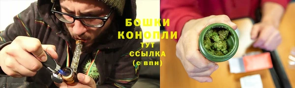 прущие грибы Кукмор