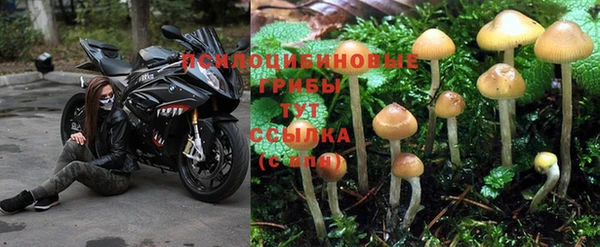 твердый Абдулино