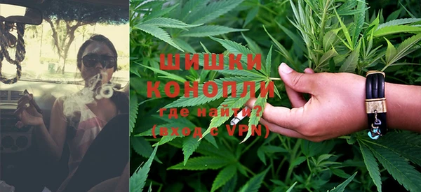 прущие грибы Кукмор