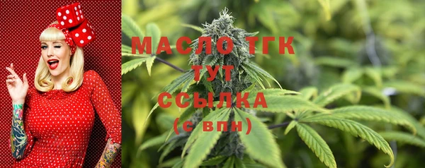 дмт Кулебаки