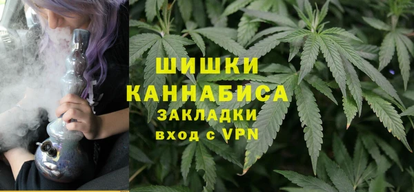 прущие грибы Кукмор