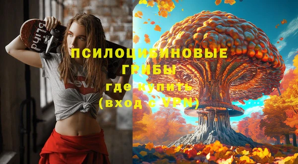 дмт Кулебаки
